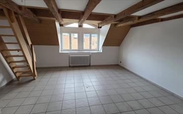 Wohnung 4.5 Zimmer - image - 9