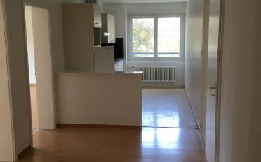 Wohnung 3.5 Zimmer - image - 4