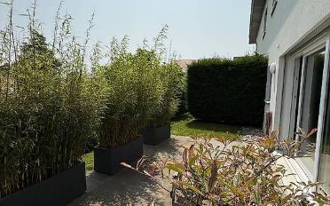 Terrassenwohnung 2 Zimmer - image - 1