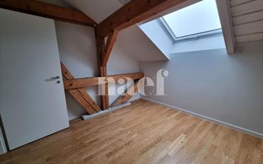 Wohnung 4 Zimmer - image - 7