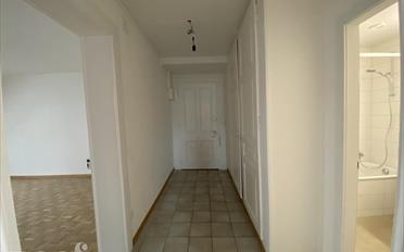 Wohnung 3.5 Zimmer - image - 9