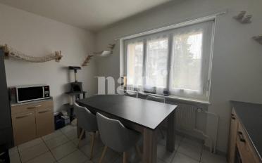 Wohnung 2.5 Zimmer - image - 4