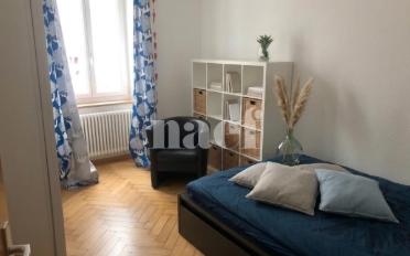Wohnung 3 Zimmer - image - 5
