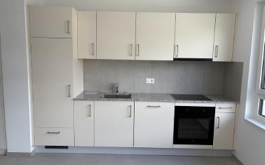 Appartement 1.5 pièces - image - 7