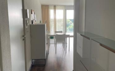 Wohnung 3.5 Zimmer - image - 6