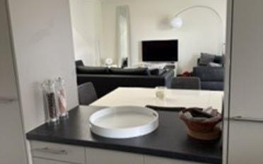 Attic flat 4 rooms - image - 2
