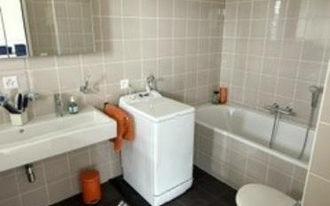 Attic flat 4 rooms - image - 7