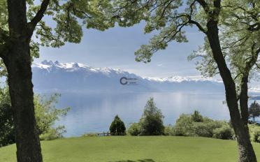 Building land - image - 1