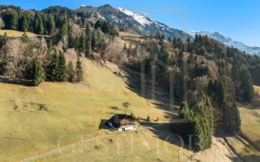 Chalet 7 Zimmer - image - 1