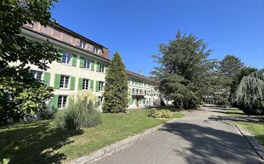 Büro ein Zimmer - image - 2