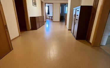 Ladenfläche 7.5 Zimmer - image - 4