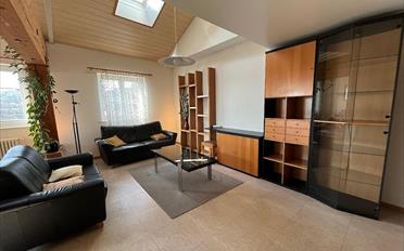 Ladenfläche 7.5 Zimmer - image - 9