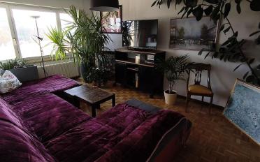 Wohnung 3.5 Zimmer - image - 6
