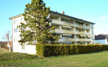 Wohnung 3.5 Zimmer - image - 2