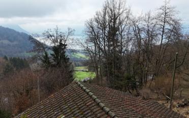 Chalet 3.5 Zimmer - image - 8