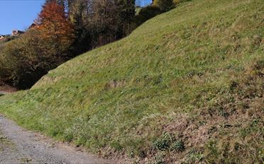 Building land - image - 4