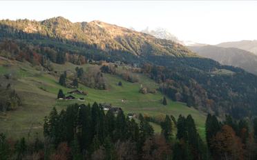 Building land - image - 12