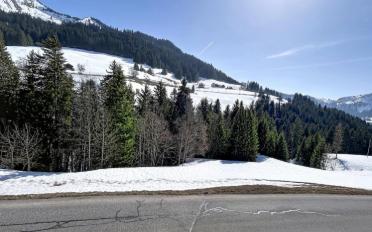 Chalet 6 Zimmer - image - 1