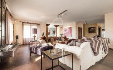 Einfamilienhaus 12 Zimmer - image - 3