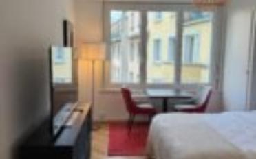 Appartement meublé 1.5 pièces - image - 3