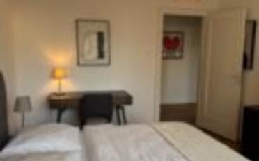 Appartement meublé 1.5 pièces - image - 5
