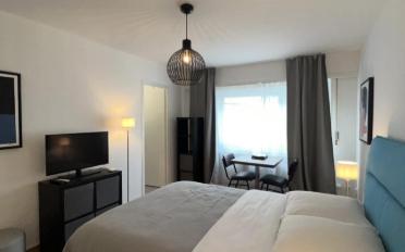 Appartement meublé 1.5 pièces - image - 4