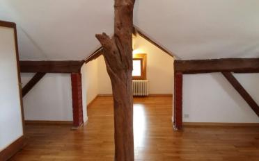 Wohnung 5.5 Zimmer - image - 4