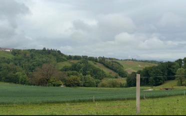 Agrarland - image - 1