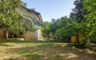 Single house 8 rooms - image - 11