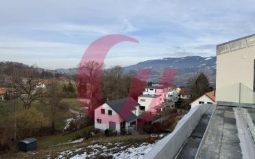 Duplex 5.5 pièces - image - 4
