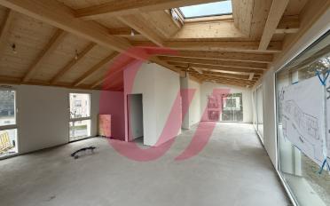 Duplex 5.5 pièces - image - 3