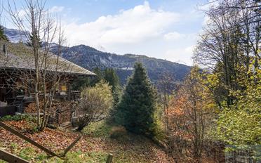 Chalet 6 pièces - image - 2