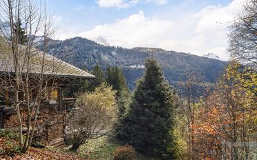 Chalet 6 pièces - image - 3