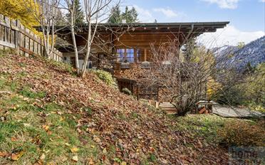Chalet 6 pièces - image - 10