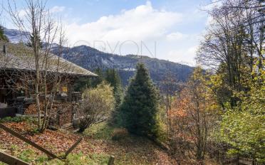 Chalet 6 Zimmer - image - 2