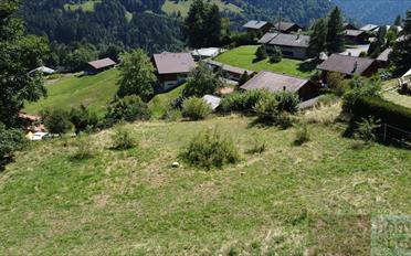 Building land - image - 3