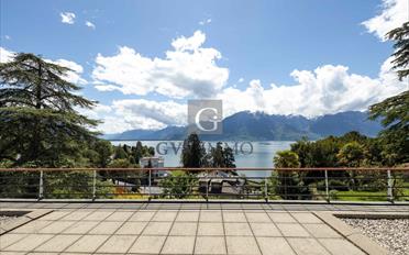 Single house 16 rooms - image - 1