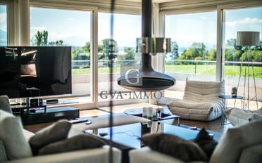 Wohnung 12 Zimmer - image - 1