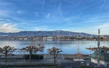 Bureau 8 pièces - image - 2