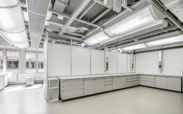 Labor - image - 11