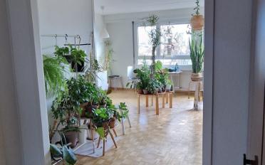 Wohnung 3 Zimmer - image - 4