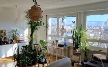 Wohnung 3 Zimmer - image - 5