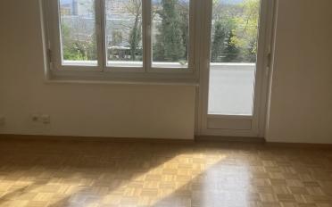 Wohnung 2 Zimmer - image - 3