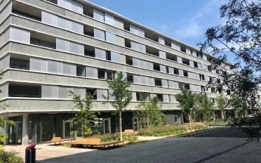 Wohnung 3.5 Zimmer - image - 1
