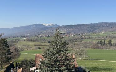 Appartement 4.5 pièces - image - 4