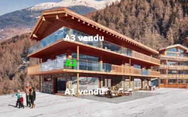 Terrassenwohnung 5.5 Zimmer - image - 1