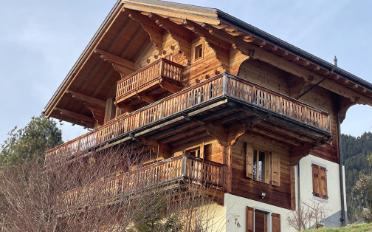 Chalet 7 pièces - image - 2