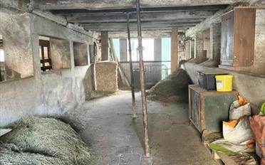 Ferme - image - 12