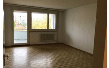 Wohnung 4 Zimmer - image - 5