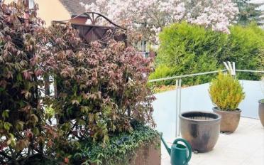 Wohnung - image - 1